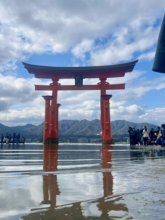 ⛩️【広島・宮島】神々と自然が宿る神秘の島で、心ほどけるひとときを🌿🌊
