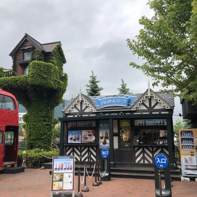 Early Summer in Sapporo: A Blooming Welcome! 🌸🍃