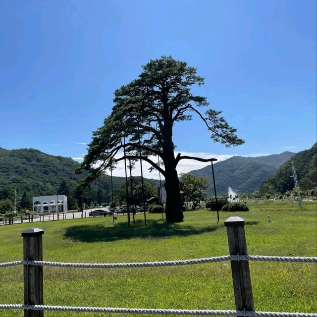 Temple Time, Beopjusa is Peaceful (and Kinda Majestic)