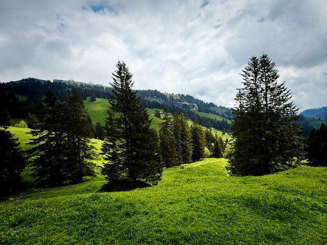 Mount Rigi Summit – Panoramic Views from the Queen of the Mountains