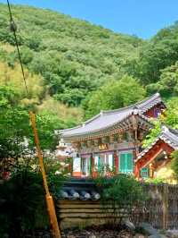 숲속의 감성 충전소, 장춘사 데이트 🌲