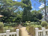 หลงคาเฟ่