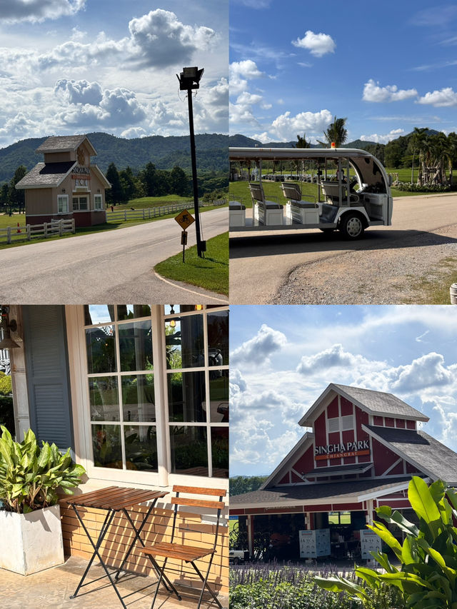 Singha Park, Chiangrai