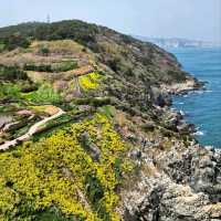 Cliff Walks, Ocean Breeze, and Zero Regrets