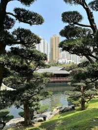 A Tranquil and Budget-Friendly Oasis – Nan Lian Garden, Hong Kong