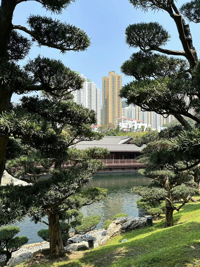 A Tranquil and Budget-Friendly Oasis – Nan Lian Garden, Hong Kong