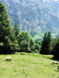 Adjacent to Swat, the Switzerland of Pakistan - Scenic Kumrat Valley with very budget options