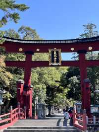  🇯🇵【福井・敦賀｜北陸最被低估的小城之一】