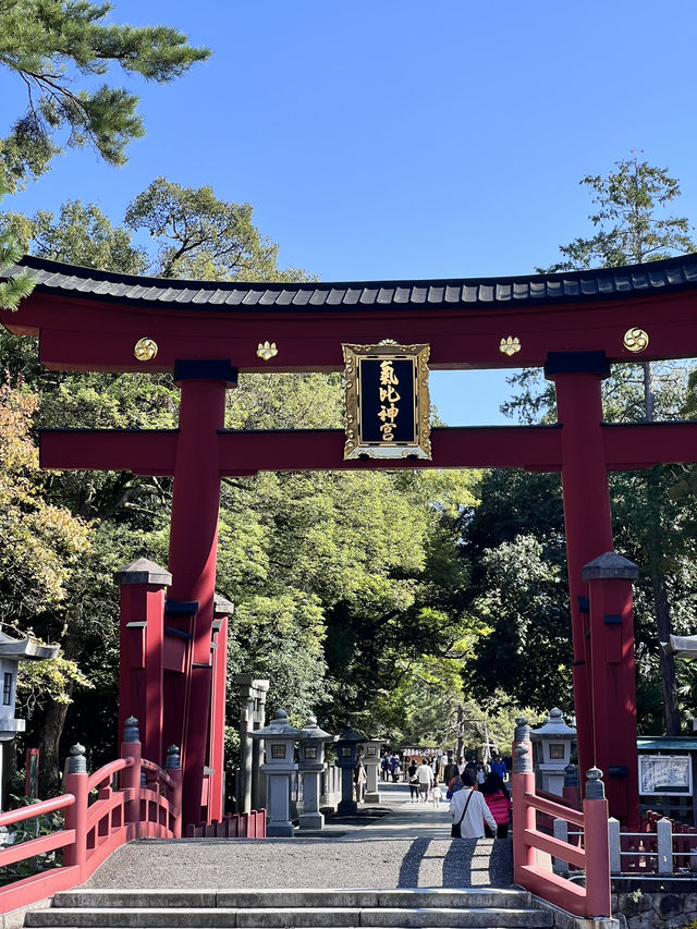  🇯🇵【福井・敦賀｜北陸最被低估的小城之一】
