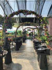 Secret Garden Cafe in Desaru: Budget Daydream Come True
