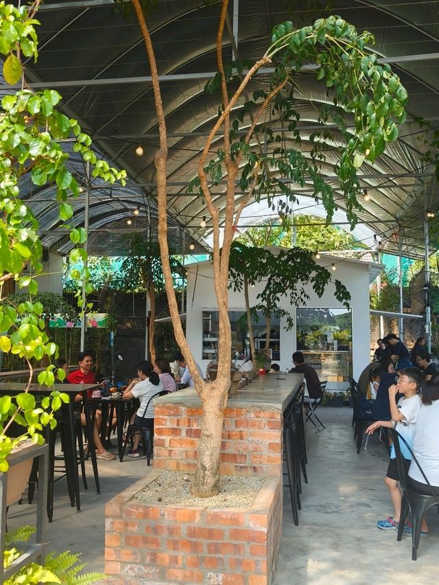 Unexpected Coffee Escape: Nature Meets Noms in Desaru