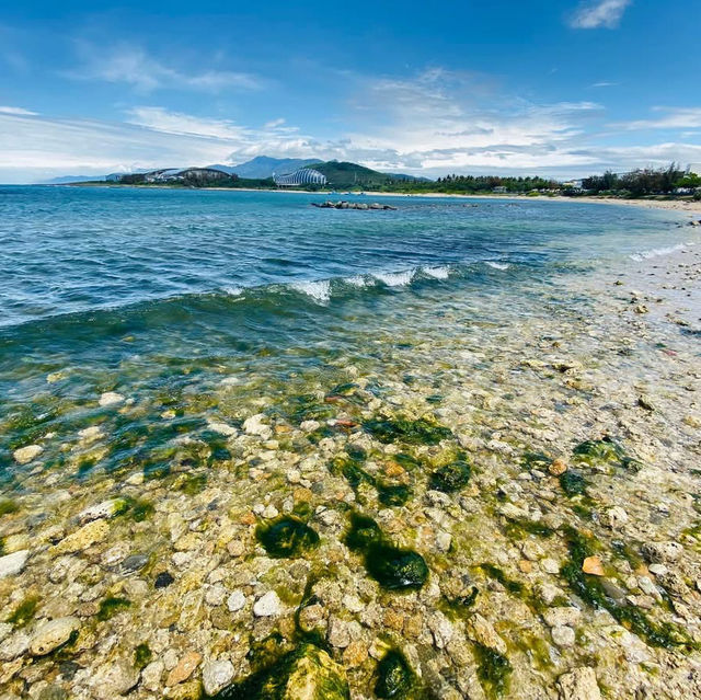 屏東車城 🌊後灣沙灘 大自然的生態教室 還有好多寄居蟹