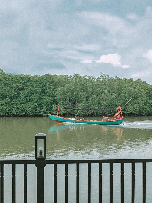 Slow Mornings at Kampot | Cambodia 🇰🇭