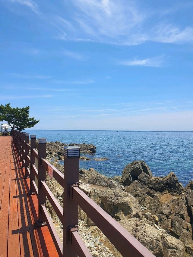 대게와 오션뷰를 모두 즐길 수 있는 맛집🌊