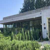 제주 여행 / 건강하고 맛있는 쌀케이크 파는 카페 앨리스케이커리 제주