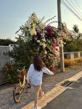 A Day Trip to Pranburi