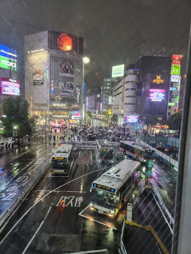 ✈ 도쿄 여행기 🇯🇵