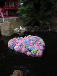🙏【茨城・桜川市 雨引観音（雨引山楽法寺）】紫陽花に包まれるパワースポットで癒しとご利益の旅 