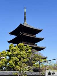 [京都]1日で大満喫✨京都定番観光