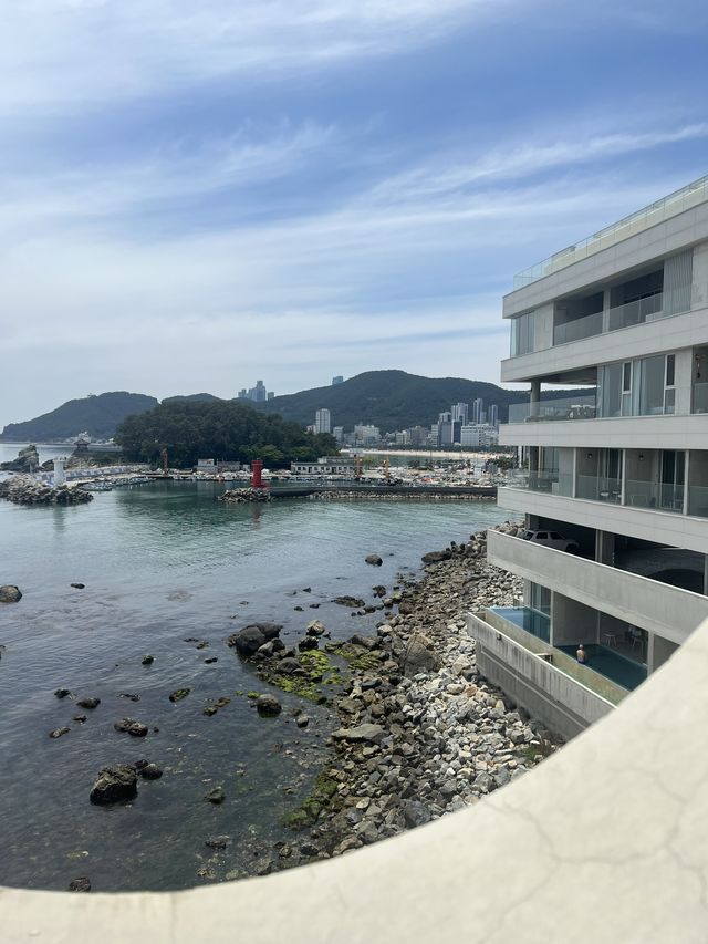 Coralani Cafe, Busan
