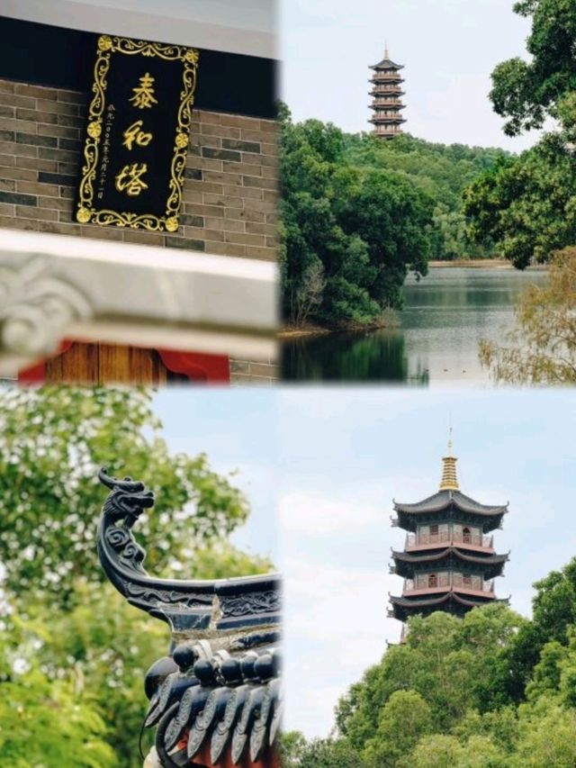 深圳坪山🇨🇳一天遊citywalk與老公二人世界