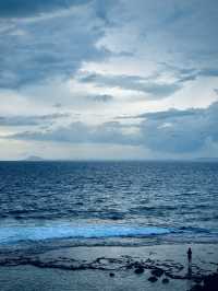 🏖️ 美人沙灘奇遇記：與海龜共舞的秘境之旅