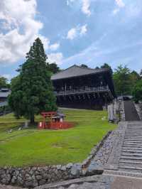 Nara park - must visit place in Japan