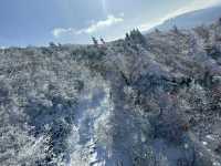 🏔️ Early Winter Magic at Mt. Hakkoda
