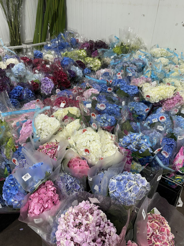Hidden gem for flower lovers