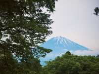 น้ำตก Shirato (Shiraito Falls / 白糸の滝) 