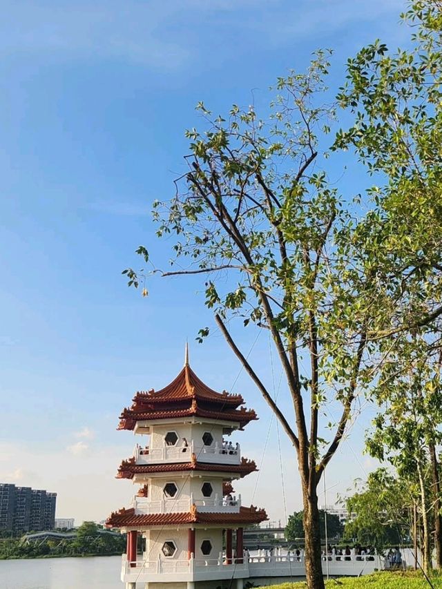 🌸 Chinese Garden Singapore – Your Peaceful Hideout! 🏯🌿