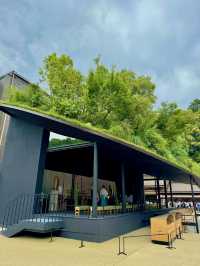 【福岡】期間限定🌟太宰府天満宮の魅力⛩️