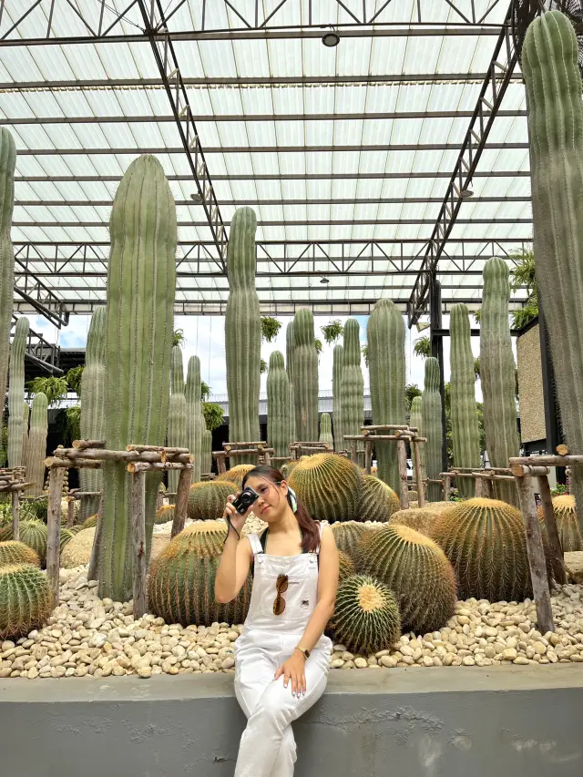 📍สวนนงนุช ชลบุรี🥰✅
