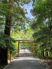 伊勢神宮洗滌心靈之旅，與自然與信仰同行⛩️🌿