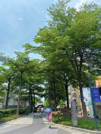 台北中山商圈｜捷運一下就是選物店、咖啡香與日系文青風的生活圈