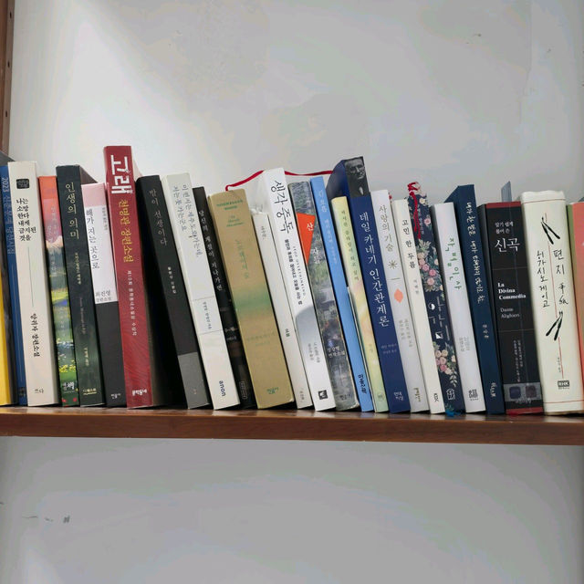 🤎😍수원 매탄동 신상카페 추천 -식구