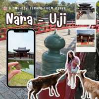 📍Day Trip from Osaka: Nara & Uji ✨