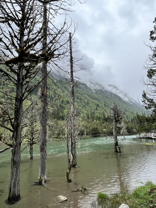 Everything You Need to Know for Visiting Shuangqiaogou at Mount Siguniang