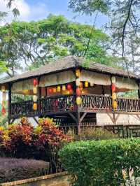 A Hidden Gem: Relax and Recharge at Fat Bamboo Cafe