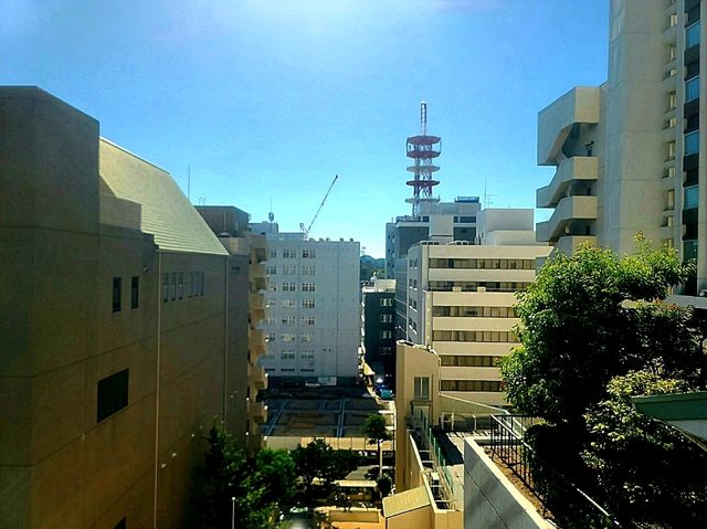 ANA Crowne Plaza Matsuyama(ANA 크라운 플라자 마츠야마) 아넥스 싱글룸