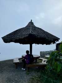 Yun Lai Viewpoint➖Misty Mountains and Tea Mornings 🌫️
