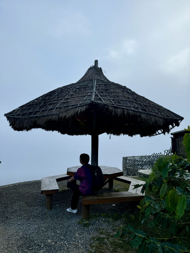 Yun Lai Viewpoint➖Misty Mountains and Tea Mornings 🌫️