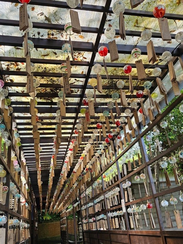 穿越時光的和風角落〔桃園神社〕⛩️