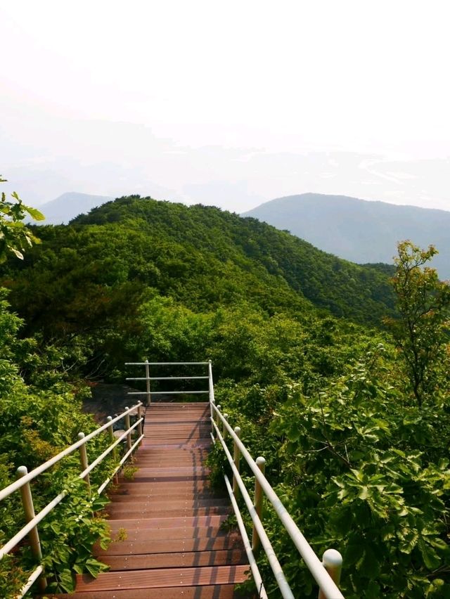 Accidentally Climbed a Mountain, Had the Time of My Life