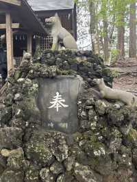 【埼玉⛰️】関東最強のパワースポット三峯神社で登山🧗
