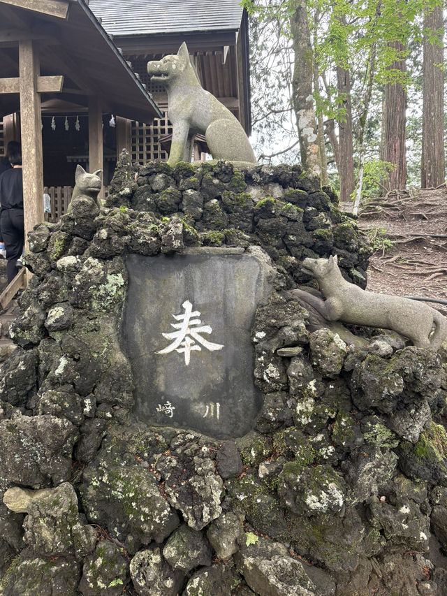 【埼玉⛰️】関東最強のパワースポット三峯神社で登山🧗