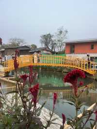 คลองแม่ขา เชียงใหม่