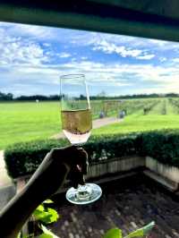 🎈 Hot Air Balloon Adventure Tips – Hunter Valley Edition 🌅