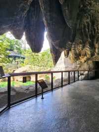 🌳🐒 “Step into the Wild!” – Asian Rainforest Adventure Singapore 