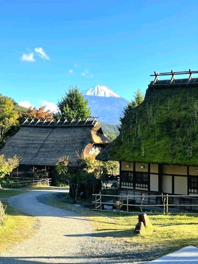 Healing Village by Mt. Fuji: Saiko Iyashi‑no‑Sato Nenba